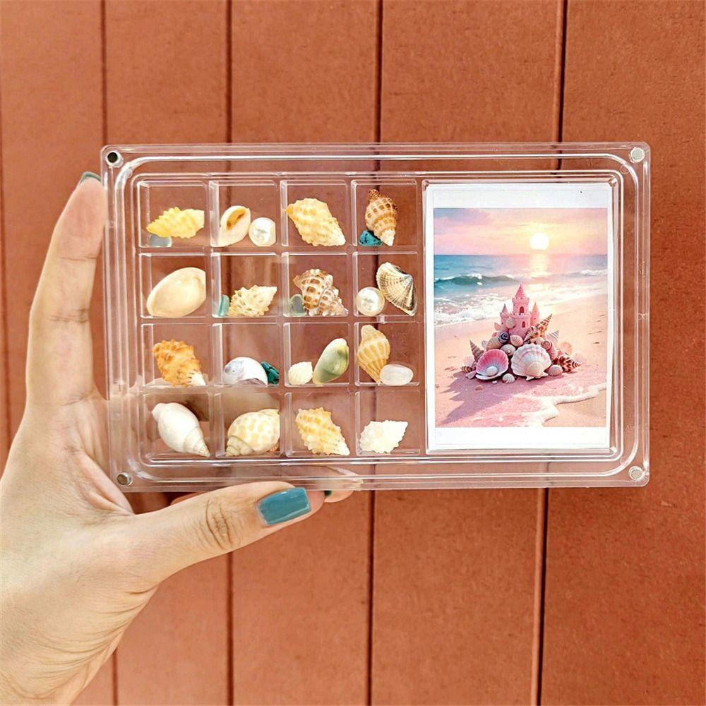 17-Grid Seashell Display Box Acrylic Durable Storage Display Organizer Box With Photo Frame Starfishs Trinket Storage Case
