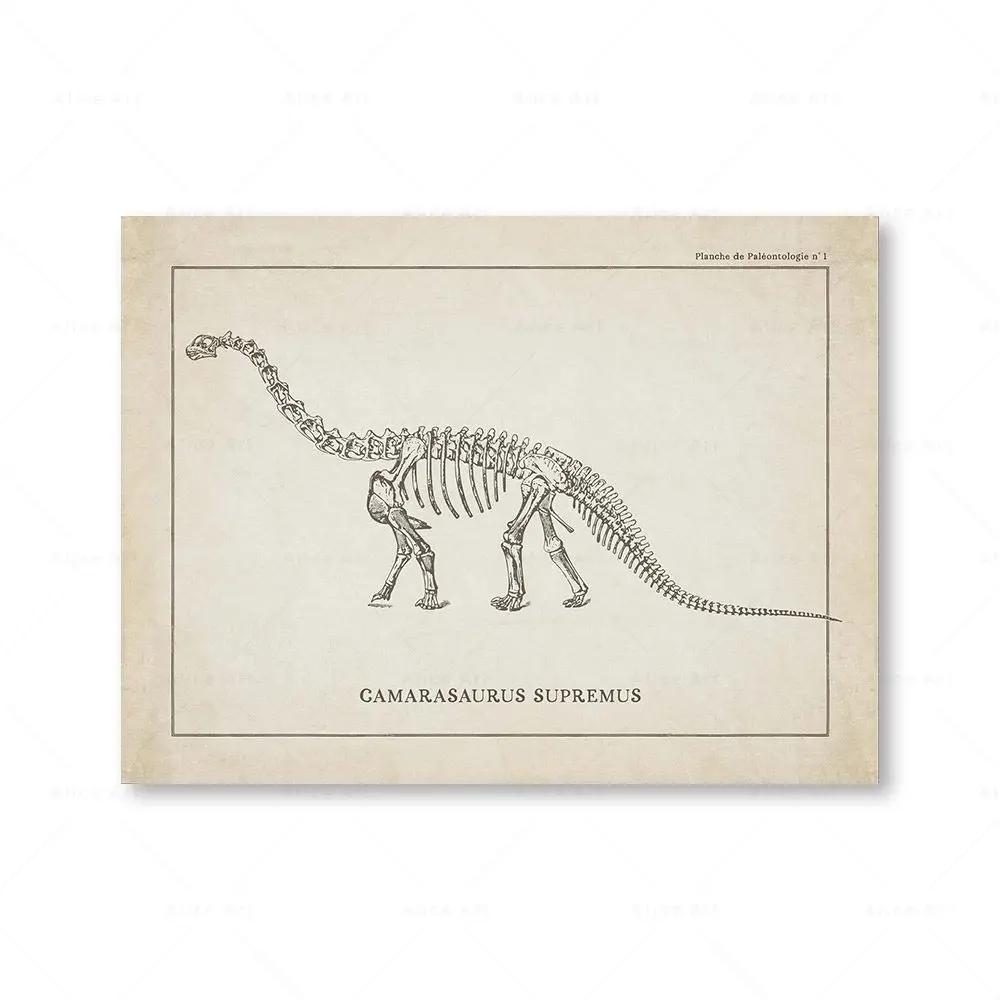 Canvas Painting Nordic Posters And Prints Vintage Dinosaur Skeleton Paleontology Wall Art Wall Pictures For Boy Kids Room Decor