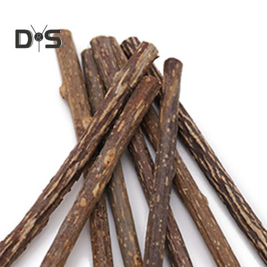 8Pcs Cat Chew Stick Natural Catnip Sticks Teeth Cleaning Chew Toys Kitty Interactive Playtime Snack Sticks for Indoor Cat