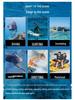 3mm Super Elastic Non-Slip Cut-Resistant Warm Diving and Snorkeling Socks