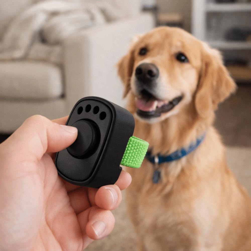 Professional Pet Clicker Trainer Lightweight Obedience Rattle Trainer for Dogs Cats