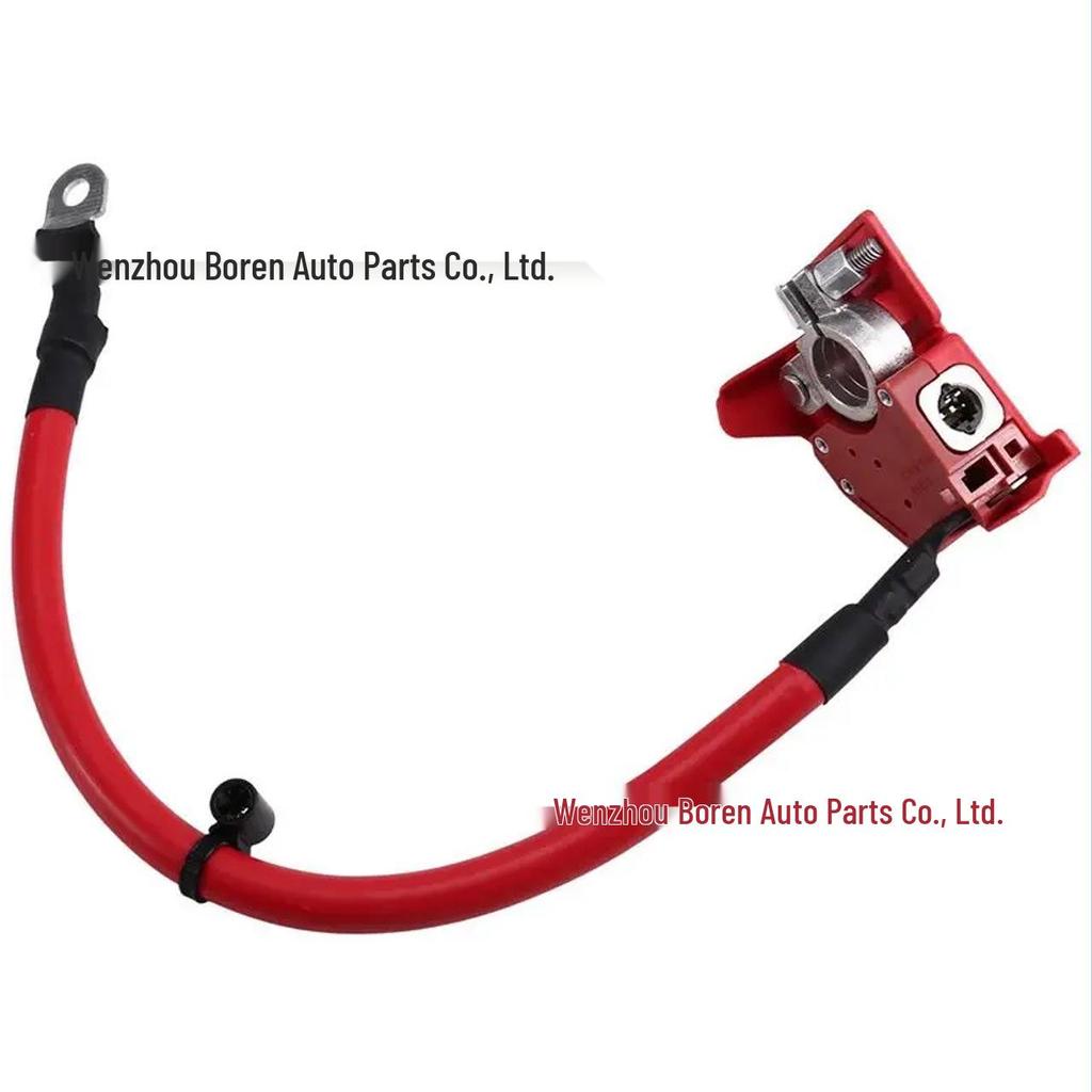 61125A45CD4 Charging & Battery Cable for BMW U06, U11 Models