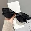 Neutral-Style Cat-Eye Oversized Sunglasses Fashionable Casual Design Sunglasses Women's Outdoor Sun Protection Sunglasses