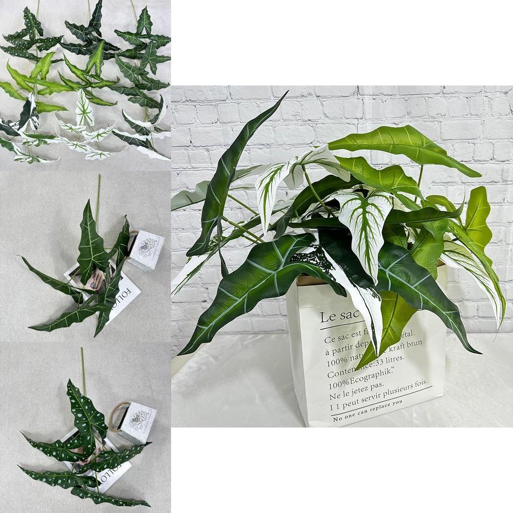 Alocasia Odora Künstliche Grüne Pflanze mit Realistischen Blättern für Heimdekoration und Veranstaltungen