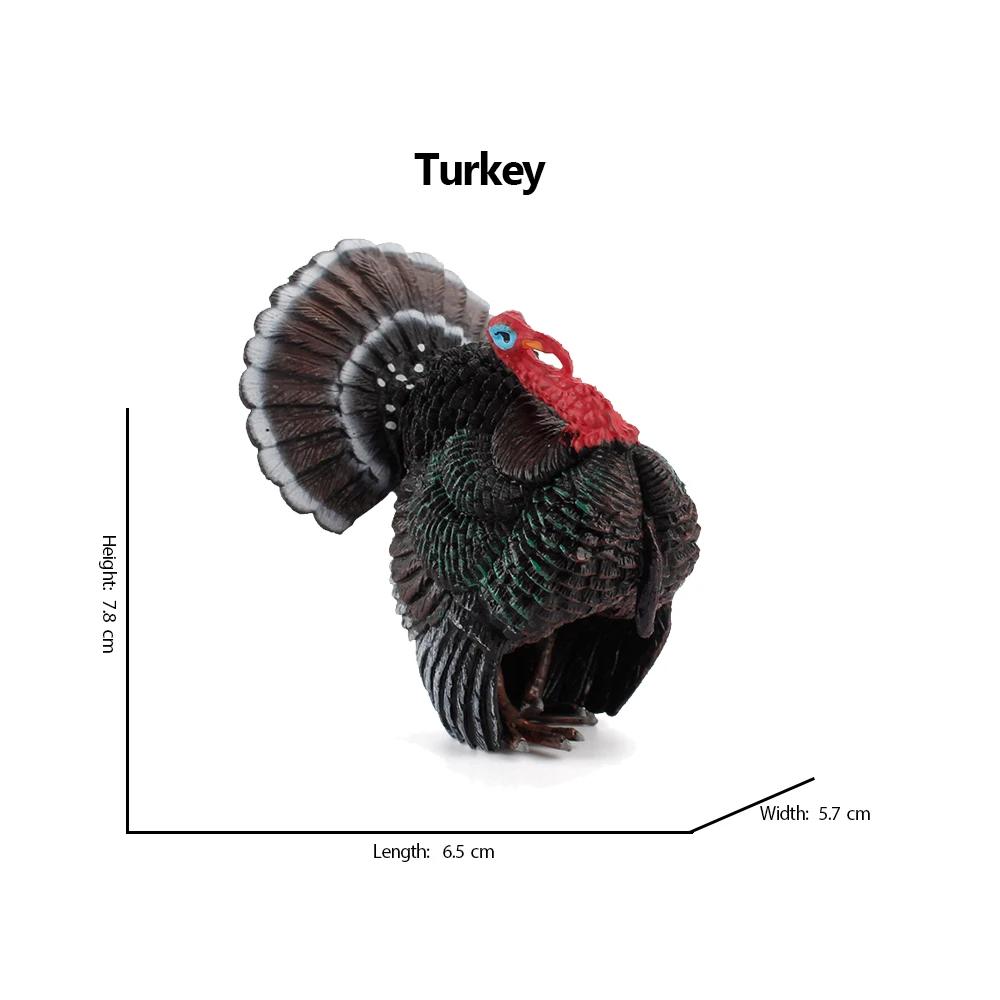 Kiwi Bird Jungle Animals Figures Peacock Phoenix Mallard Turkey Toucan Action Figure Toy Animal Figurines Toys for Kids Gifts