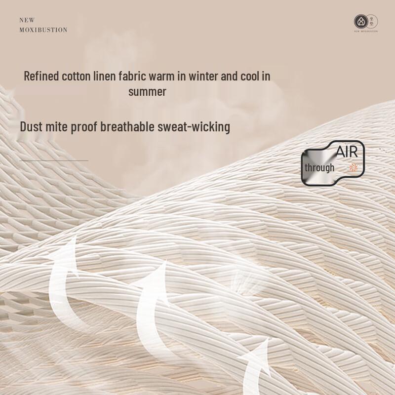 Ai Xiu Tang C1 Wormwood Wellness Cushion