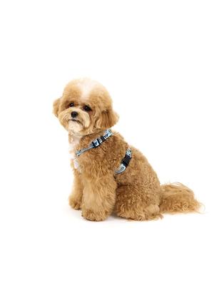 KINIKINI [Kinikini X Up Up] SWAG CHICHI H-HARNESS-BLUE