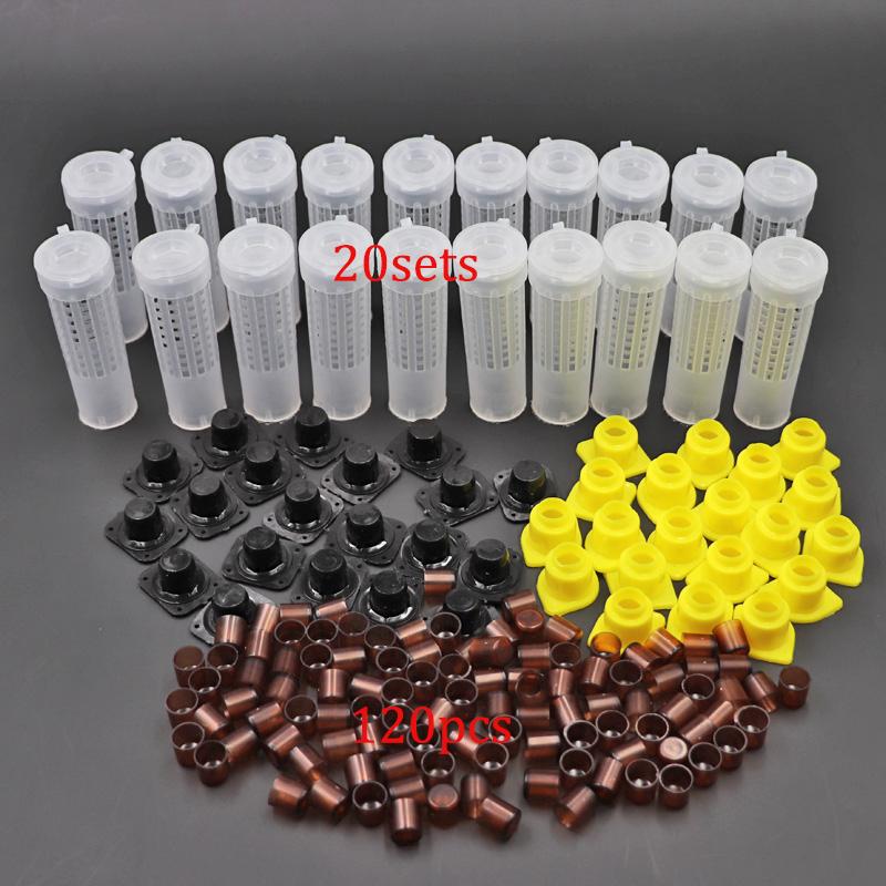 Набор для вывода маток пчелиных Nicot Германия Система вывода пчелиных маток Jenter Ячейки для маточного молочка Клетка для переноса личинок Для пчеловодческих принадлежностей