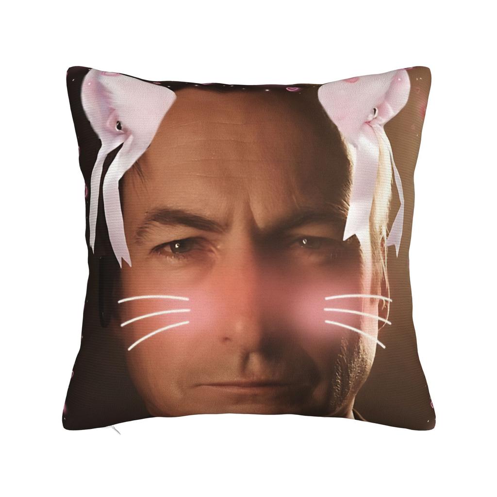 Breaking Bad Game Pillow Case  Cute Funny Pillow Cover Design Pillowcases For Living Room Chair
