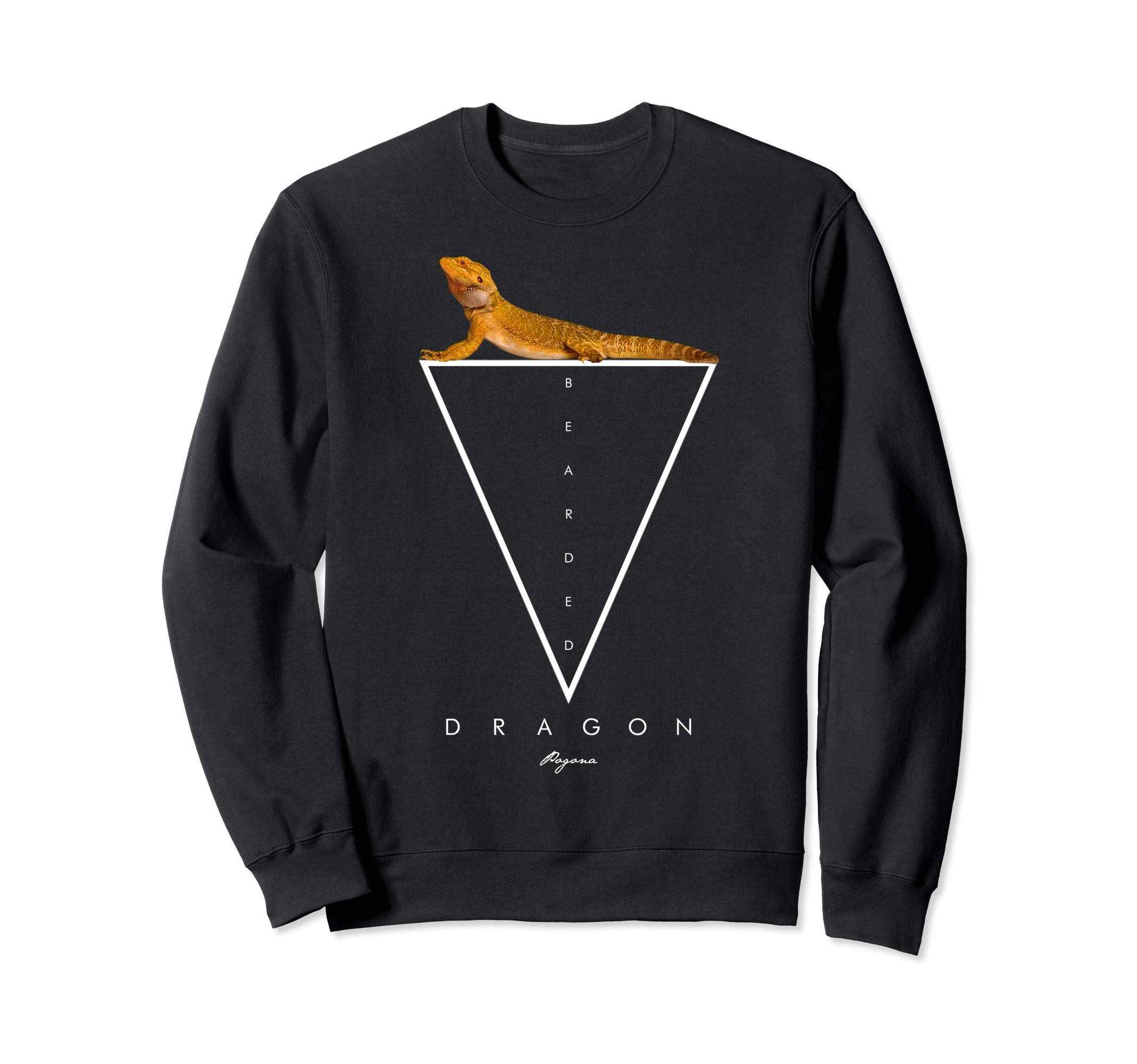 

Bearded Dragon Modern Geometry Trainer