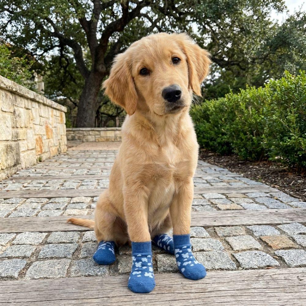 4PCS Wear Resistant Dog Anti-slip Socks Elastic Pet Floor Socks Pet Footwear  for Dogs Cats