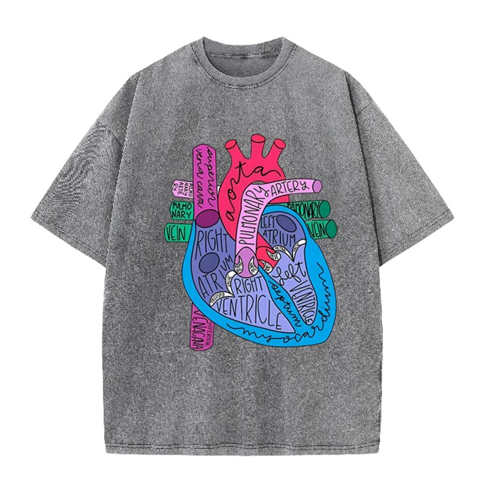 2026 Unisex Vintage Washed Cotton Tee Color Block Anatomy Heart Print Casual Round Neck Short Sleeve Medical Daily Tops