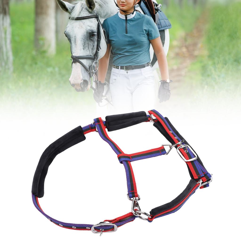 Horse   Wrproof Nylon Comfortable   Chin and Throat Snap   for Training Equestrian
