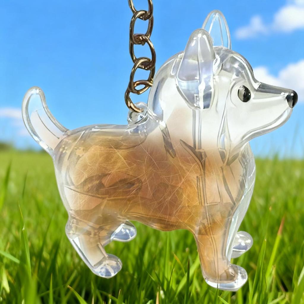 1pcs Dog Hair Key Chain Pet Hair Keychain Keepsake Storage Container Pendant Box For Wallet Purse Girls Men Women Boys