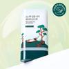 Pine Calming Cica Airy Sun Stick 19g