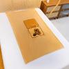 Capybaras Pillow Quilts Double-use Cushions Spring and Summer Office Naping Pillow Gift Cushions Folding Air Conditioning
