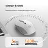 HP S1000 Wireless Office Mouse