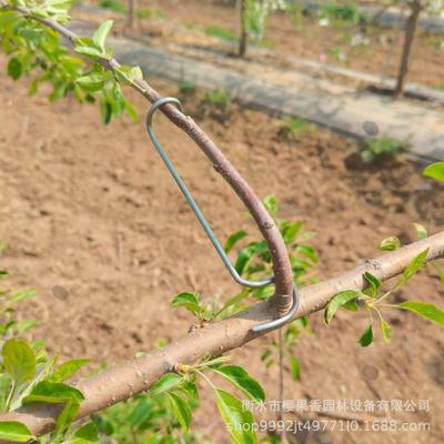 Fruit Tree Branch Pulling Tool, Lateral Branch Separating Tool, Branch Shaping Tool, Branch Bending And Pressing Tool