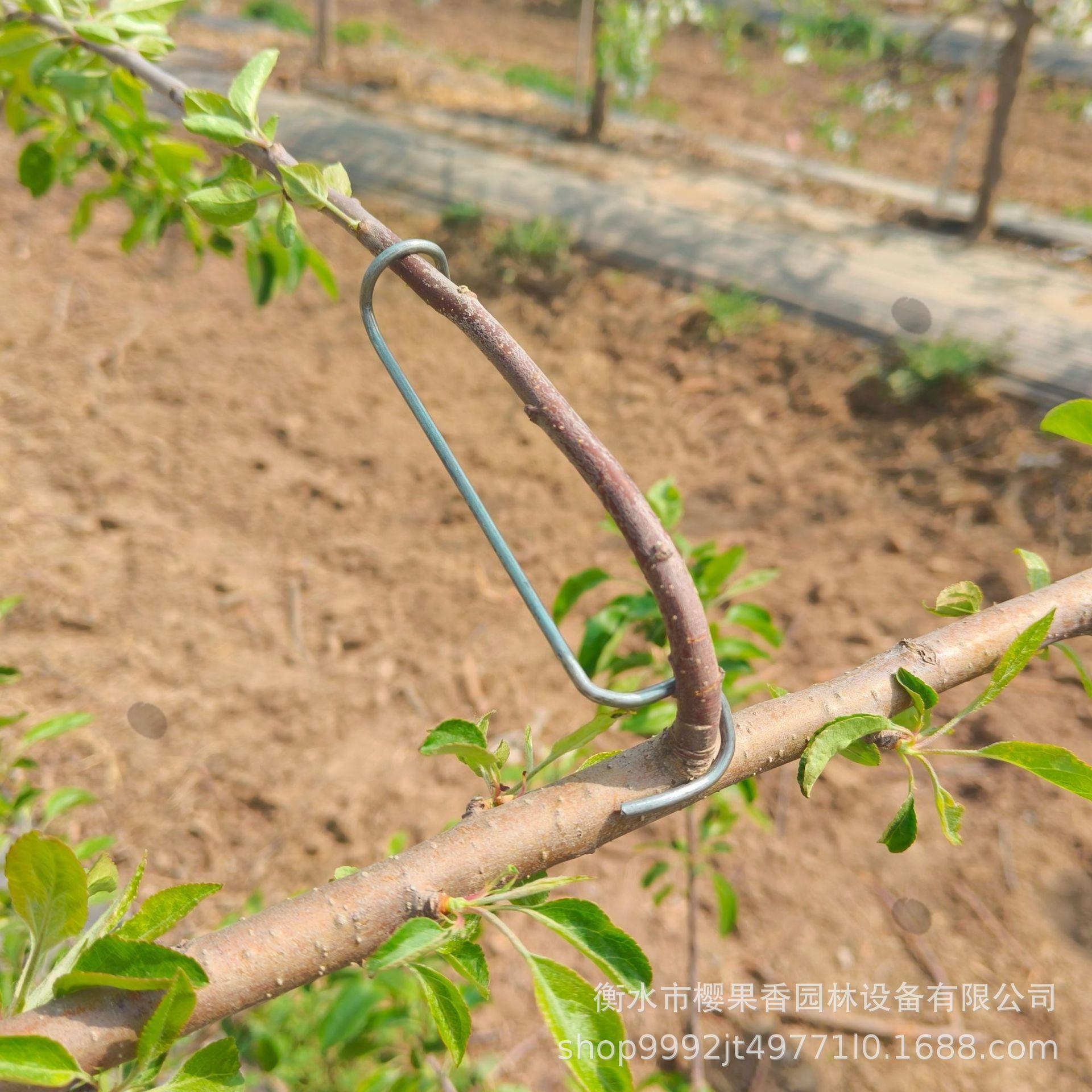 Инструмент для оттягивания ветвей плодовых деревьев, Инструмент для отделения боковых ветвей, Инструмент для формирования ветвей, Инструмент для изгибания и прижимания ветвей белый