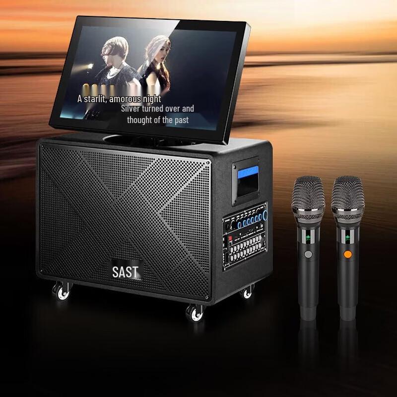 SAST All-in-One Karaoke Speaker System (CN version)