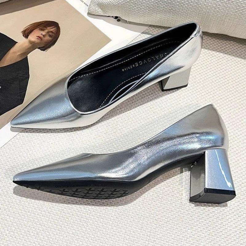 Women's Thick Heel Shoes Spring New Pointy Toe Shallow Mouth Slip-off Anti-slip Wear-resistant High Heels