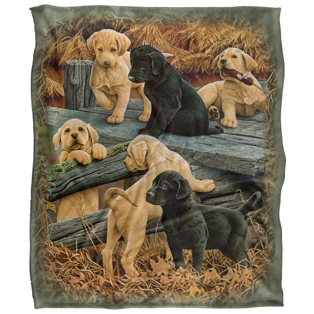 JQ Licensing Silky Labrador Puppies Supersoft Blanket