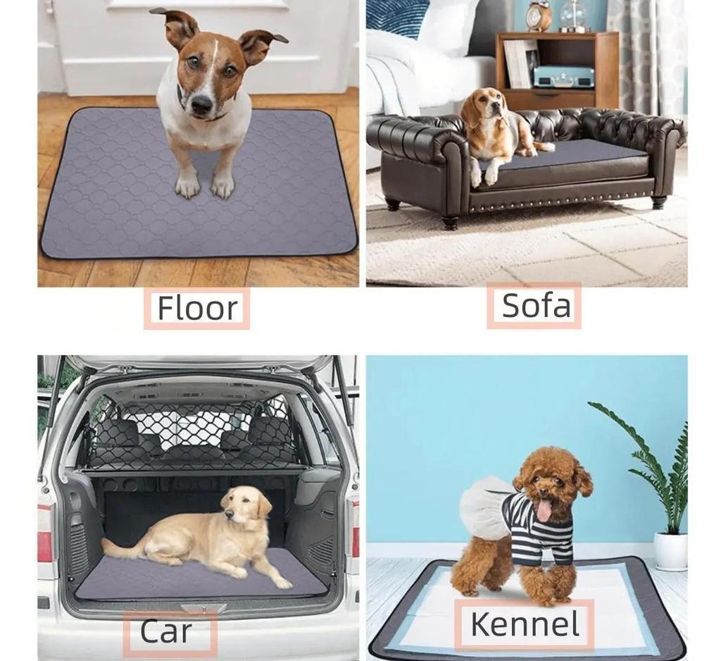 Washable Hygienic Dog Mat  Training Pads