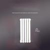 WanshunJia 5025 Steel 2-Column Hydronic Wall Radiator