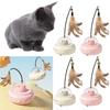 Electric Smart Teaser Cat Toy with Feather Training Pet Toys Cat Teaser Wand for Cat Exercise Catcher Chasing Hunting
