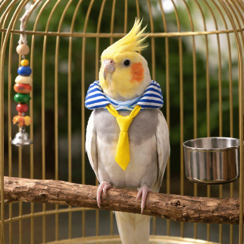 Lightweight Parrot Necktie Adjustable Pet Bird Tie Little Bird Costume  Pet Decoration