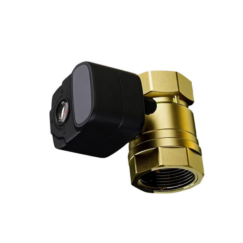 RuiYouLi Electric Ball Valve