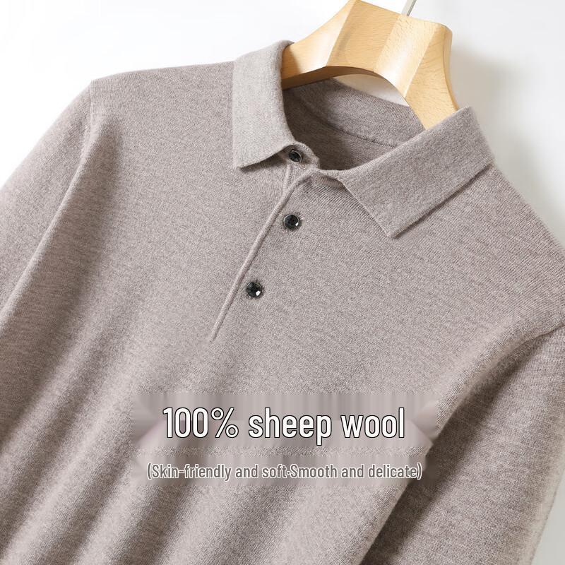 Antonio Men's Merino Wool Polo Sweater