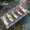 5g Casting Spoon Lure Metal Fishing Lure Hard Artificial Bait for Brass Trout Pike Fishing