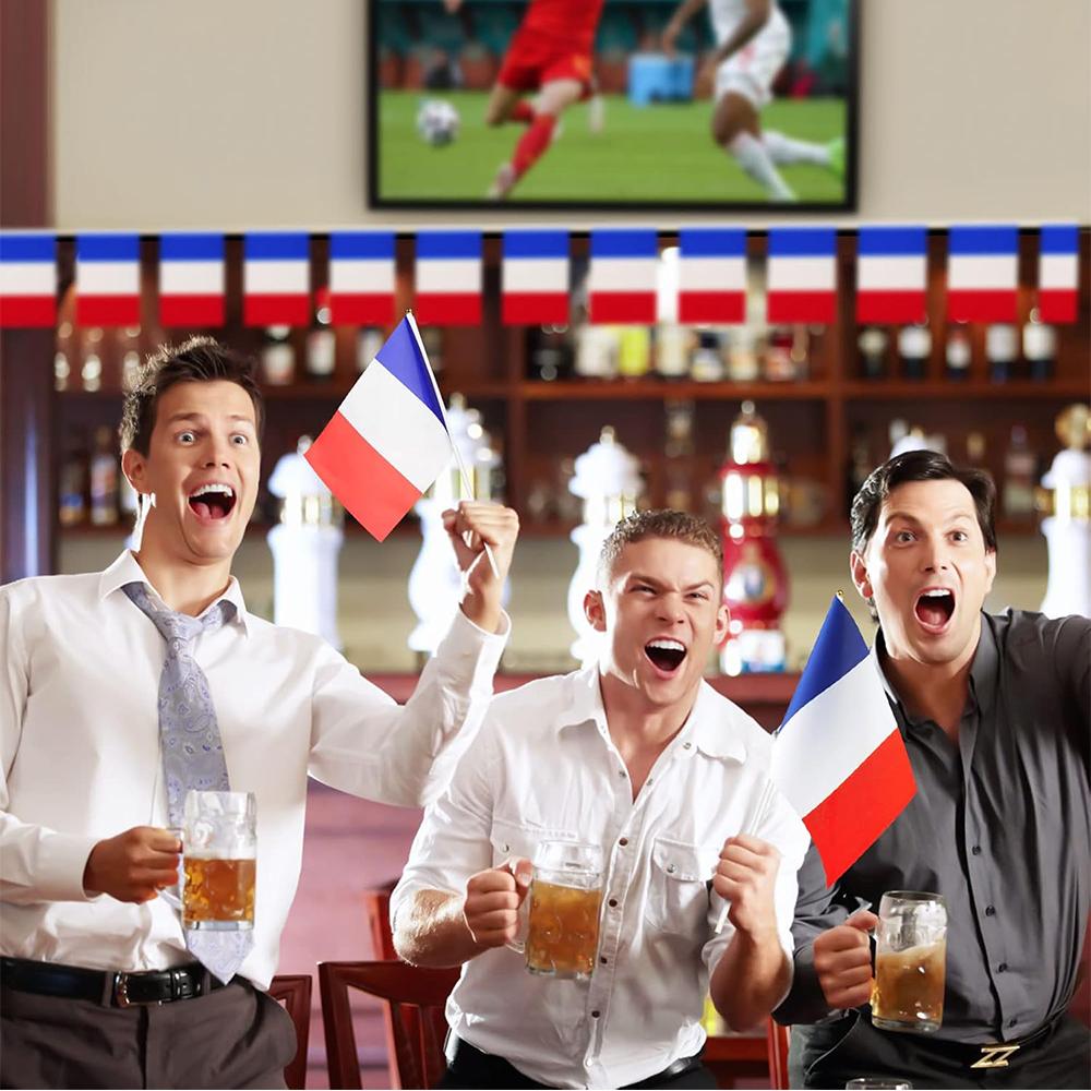French Hand Held Flags 15pcs for World Cup 2026 5.5x8.2 Inch