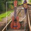 21 Inch Wooden Acoustic Ukulele Ukelele Uke Sapele Wood