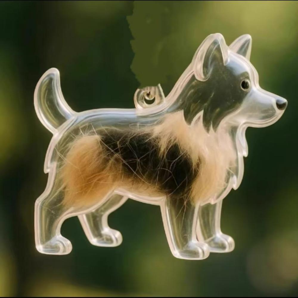 Transparent Dog Fur Storage Pendant Fur Storage Capsule DIY Accessories Portable Souvenirs Keychain Cute Pet Hair Container