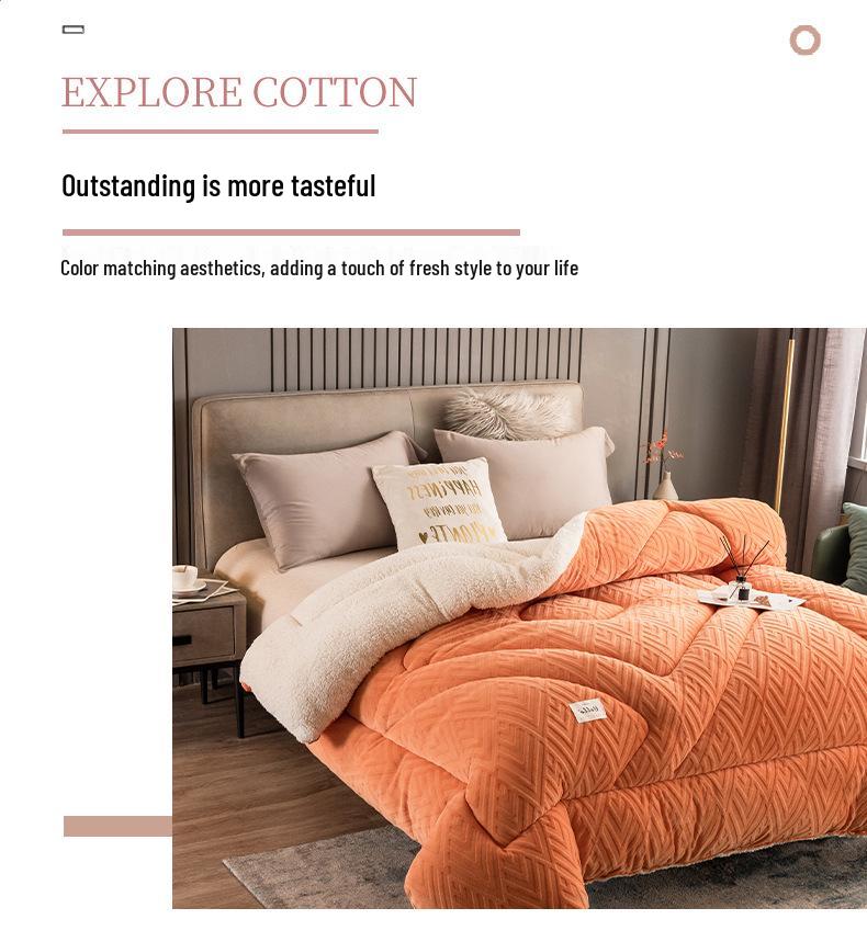 Thickened Lambswool Cotton Quilt - Warm, Double-Sided for Single Dormitory, Ideal for Winter, Spring, and Autumn
