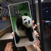 Panda Baby, Giant Panda Family Phone Case for Samsung A54 A57 A37 A17 A14 A15 A12 A24 A34 A55 A35 A25 A52S A07 A05S A04S A22 A32