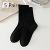 5 Pairs of Female Autumn and Winter Fashion New Drum Boneless Pile Socks