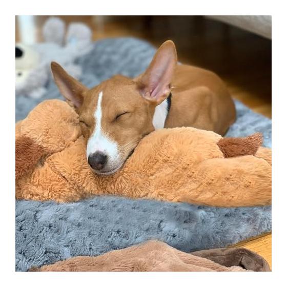 Dog Toy Popular Dog Toy Heartbeat Plush Dog Toy Chew Unbreakable Stuffed Toy (Light Brown)