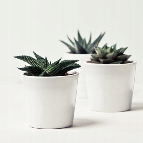 Ceramic pot for orchids 15 cm white