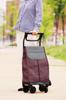 Kowa Seisakusho TacaoF a Cart Shopping WCC09 Wine Red