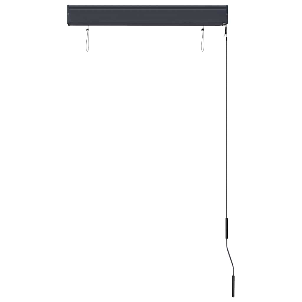 Vidaxl External Roller Blind, 80X250 Cm, Anthracite