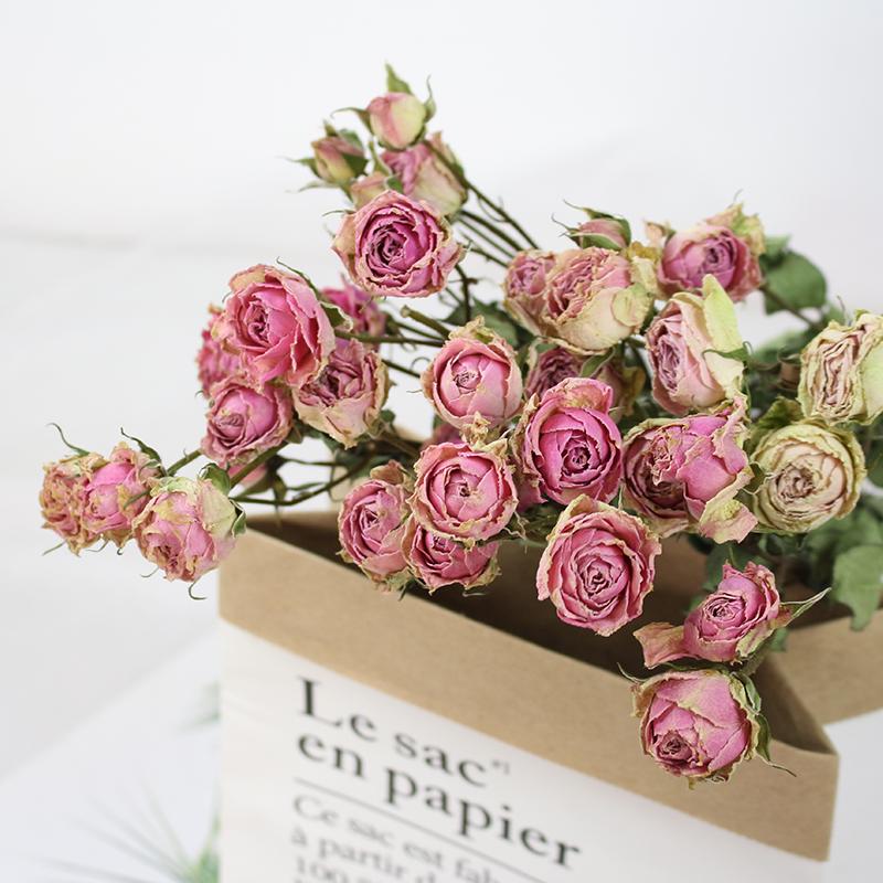 Small Dried Rose Buds for DIY Flower Arrangements and Home Decor