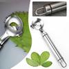 1Pcs Stainless Steel Cactus Peeler Spoon Spoon Shaped Nopales Peeler for Home Kitchen Manual Tool