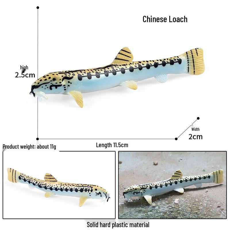 Cognitive Ocean Animal Model Toy - Salmon, Bass, Tuna, Marlin, Shark
