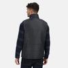 Regatta Professional Mens Quilted Insulated Body Warmer