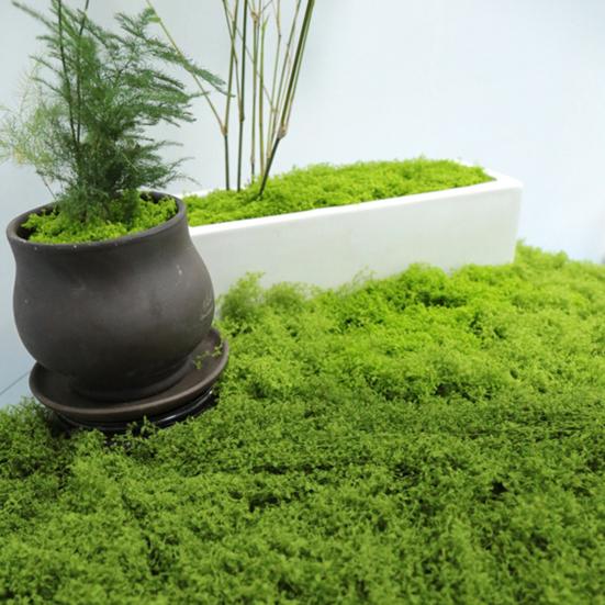 30/100G Artificial Green Moss DIY Crafts Indoor Plants Fairy Gardens Table Centerpieces Fish Tanks Microlandscape Decorative Fake Moss