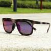 No Box ALBA Polarized Fishing Glasses Cycling Eyewear Sports Goggles Road Mtb Bike Bicycle Glasses Outdoor Sunglasses NO Box 4