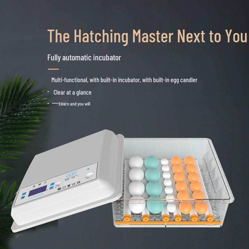 Incubatrice Intelligente Completamente Automatica per Uova di Gallina, Anatra, Oca, Piccione e Pappagallo